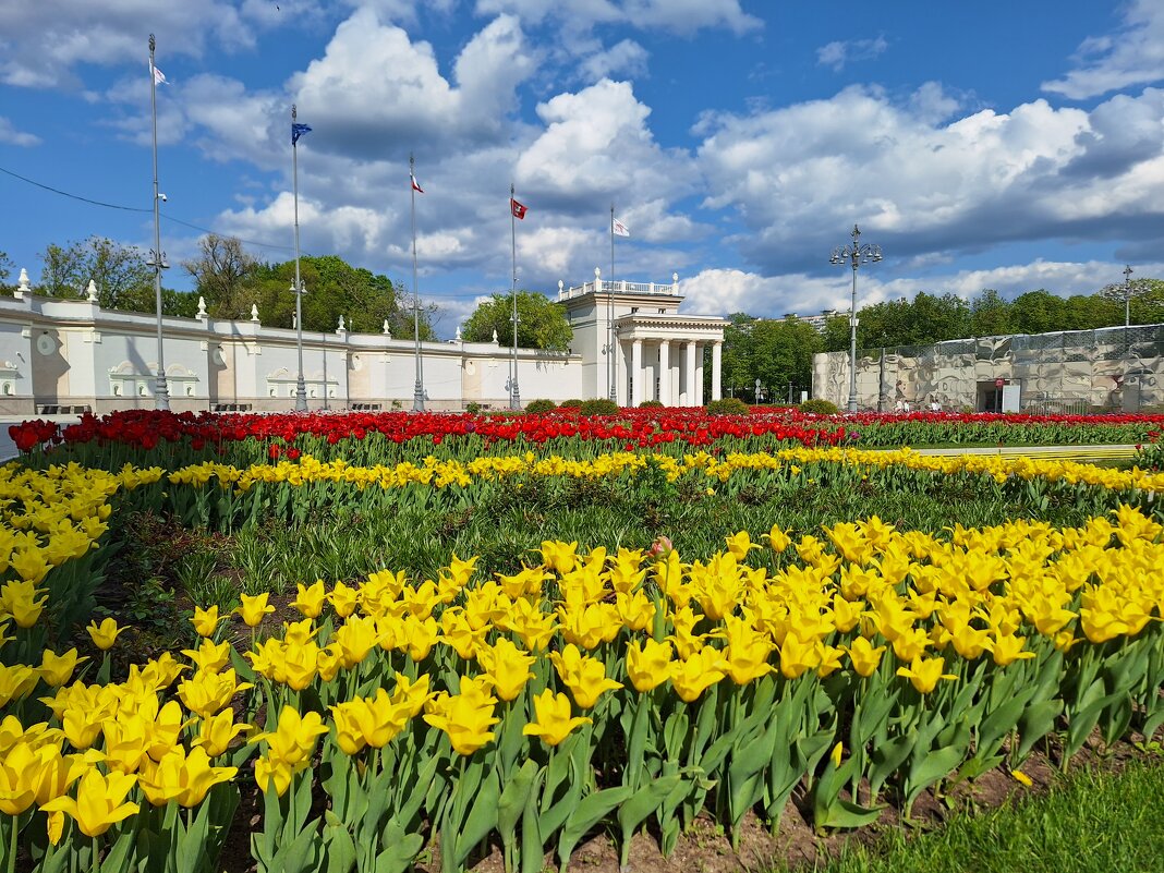 ВДНХ - Наталья 