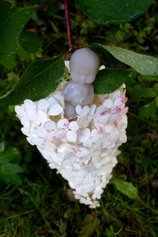 Дюймовочка - zavitok *