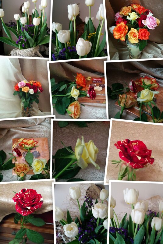 Коллаж из моих фотографий - Светлана Хращевская