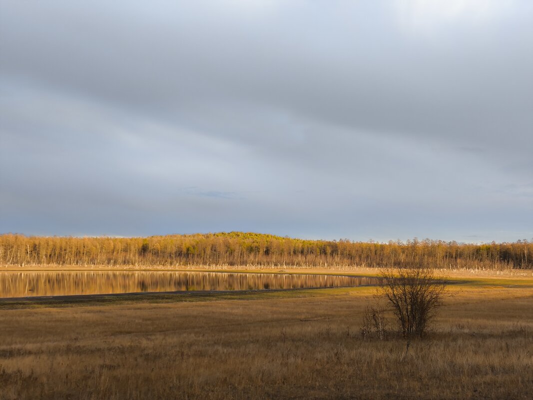 Озеро в лесу - Anna Ivanova