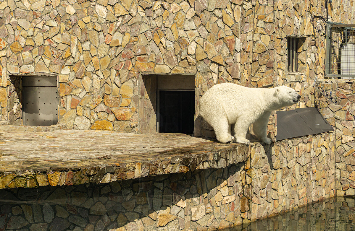 Пора искупаться! - Ирина Соловьёва Пора искупаться! - Ирина Соловьёва