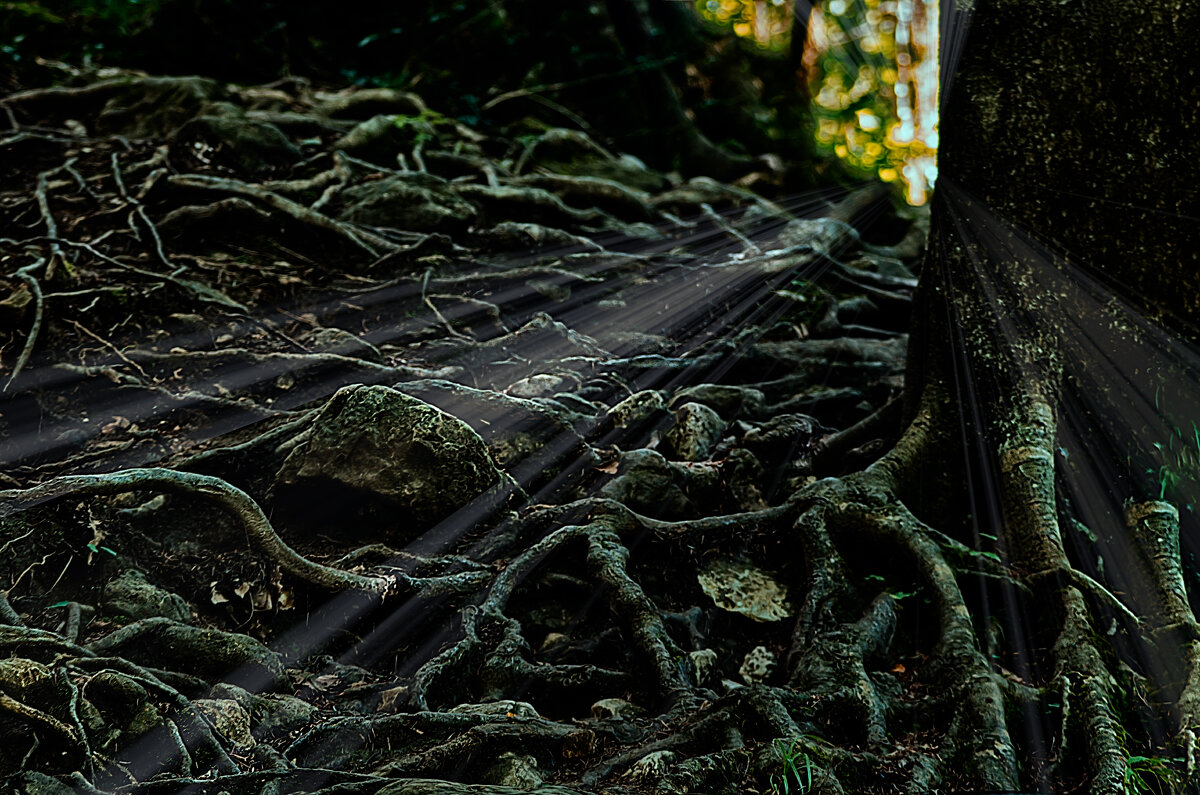 ... - Игорь Хижняк