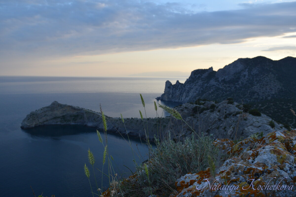 Природа Крыма - Amazing Cosmea