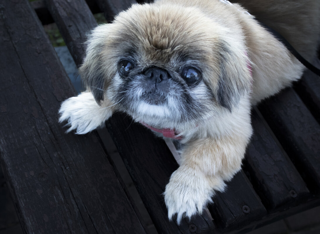 - Мне б работать фонарём- никто бы в темноте не набил себе синяк! - Евгений 