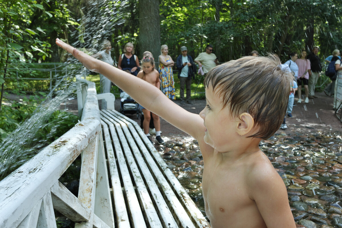 ... - ВЛАДИМИР 