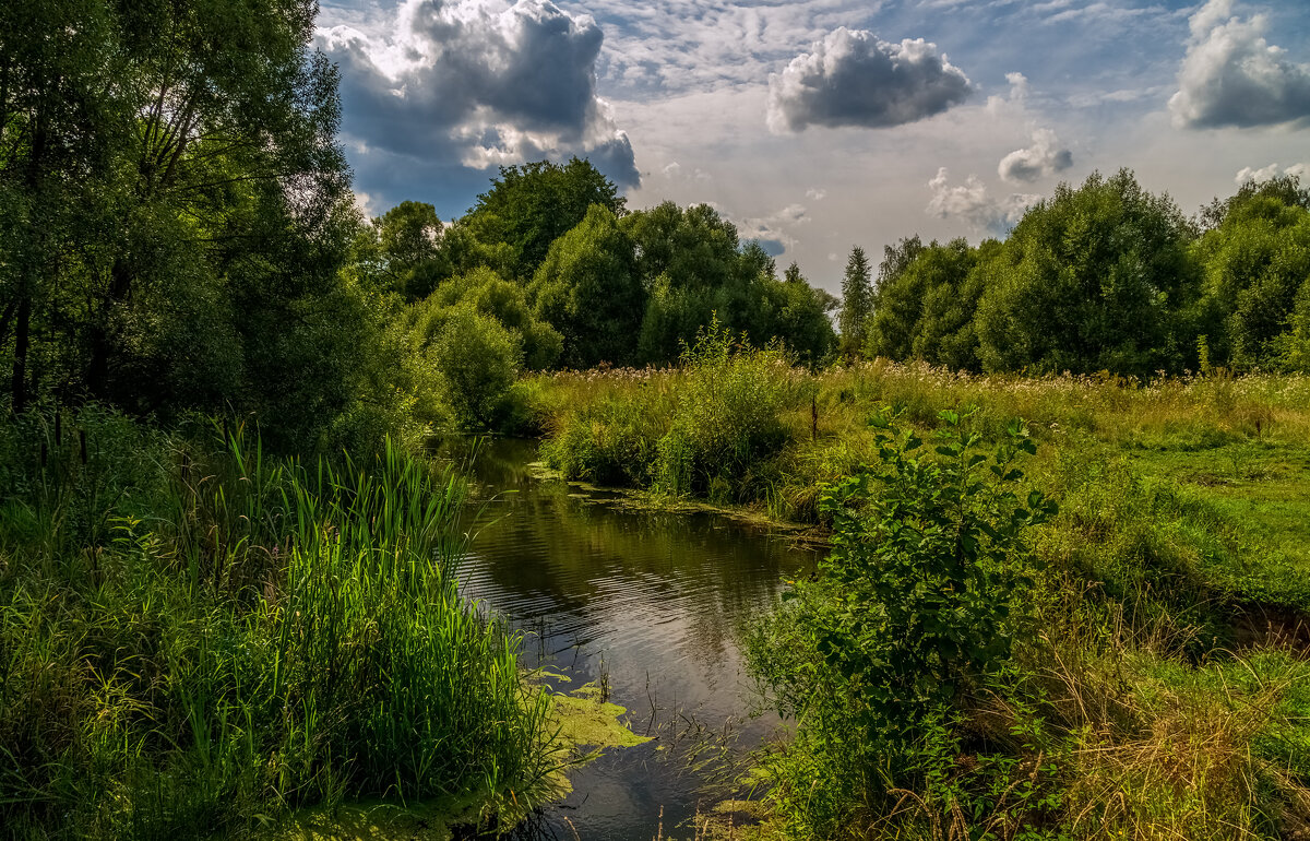 Середина Августа - Андрей Дворников