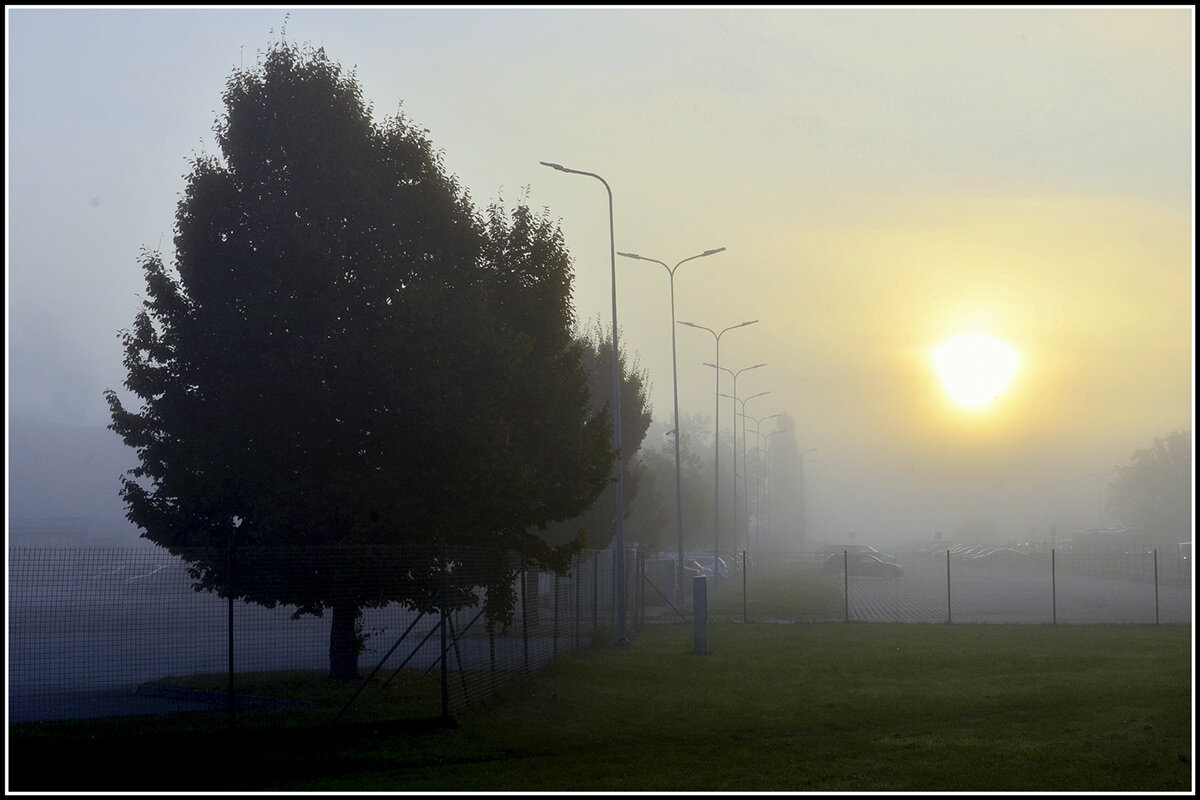 светает.... - Aleksandr Gal светает.... - Aleksandr Gal