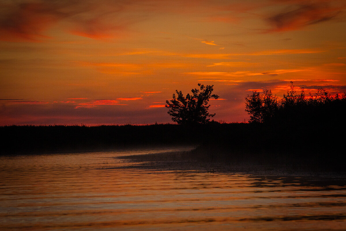 Река Молога. Вечер - Николай Дергачев