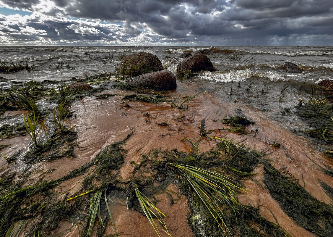 Берег БАЛТИКИ - Дмитрий Иванов