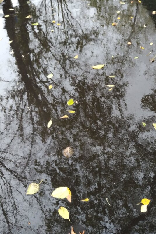 Осеннее настроение - Натали 