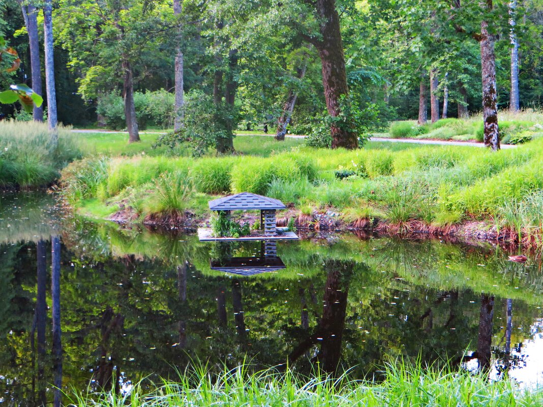 парк - марта Камушкина парк - марта Камушкина