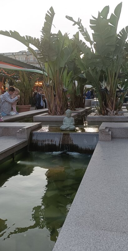 водоёмчики ,пальмы.....  всё,как в тропиках - Галина R...