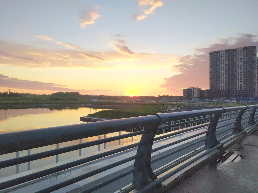 Дорога домой. Фотографировала Саша - Фотогруппа Весна Дорога домой. Фотографировала Саша - Фотогруппа Весна