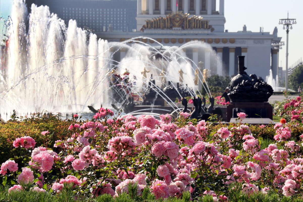 ВДНХ - Михаил Бибичков