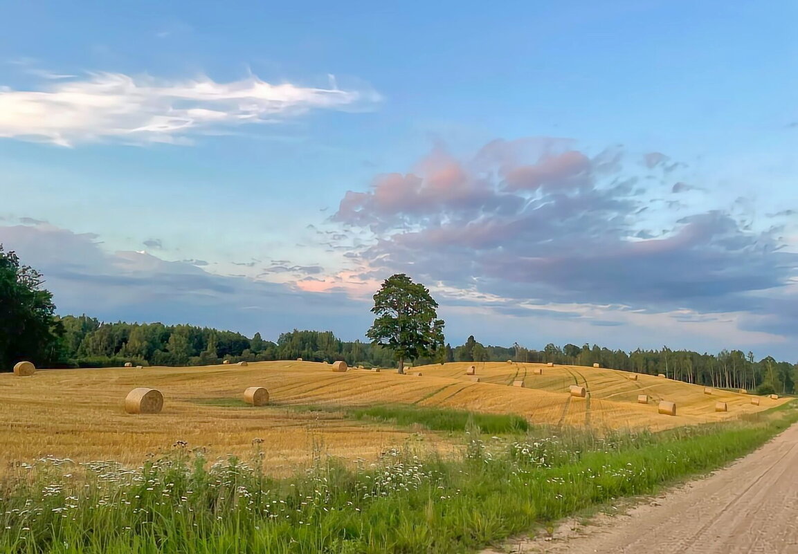 Summer 2025 7 - Arturs Ancans