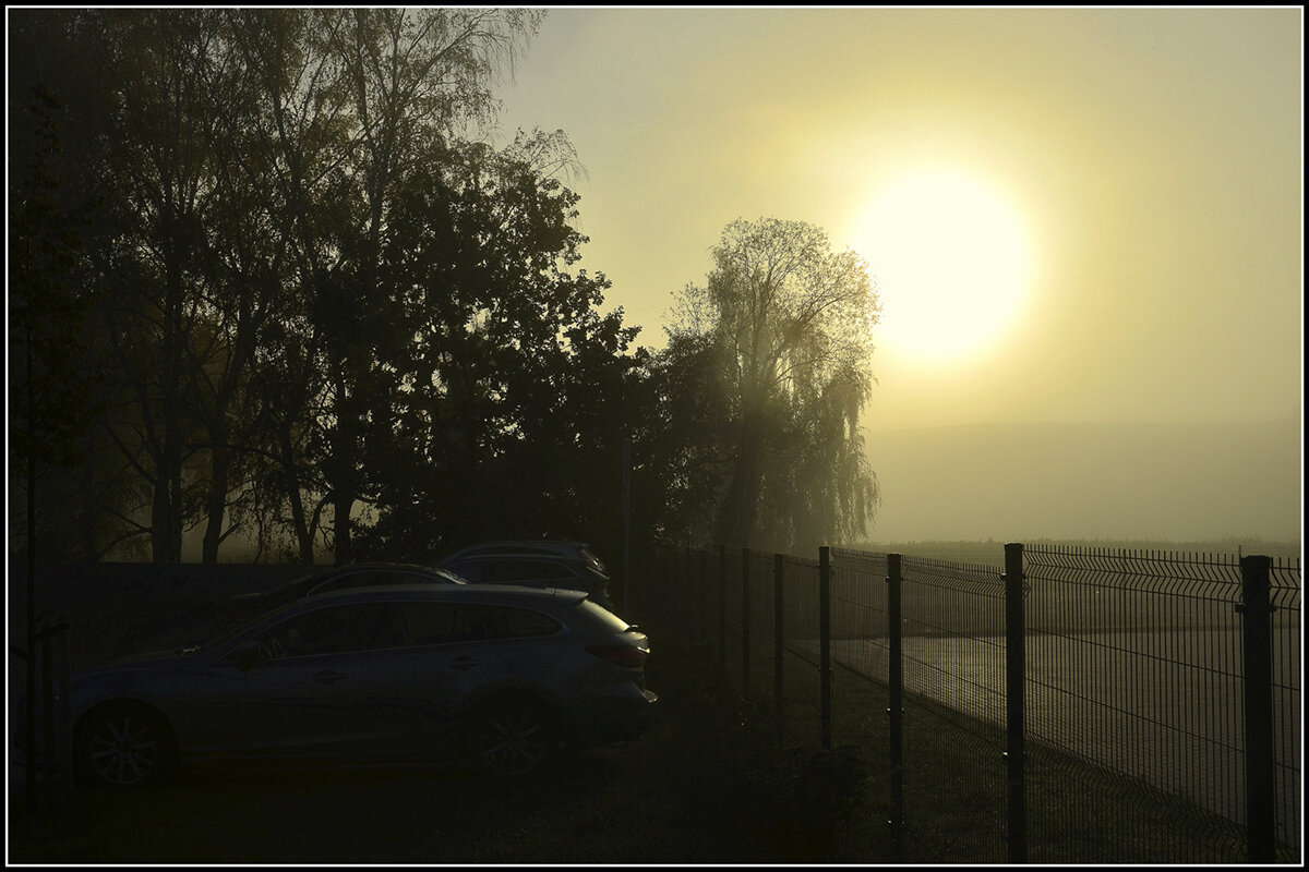 Светает - Aleksandr Gal