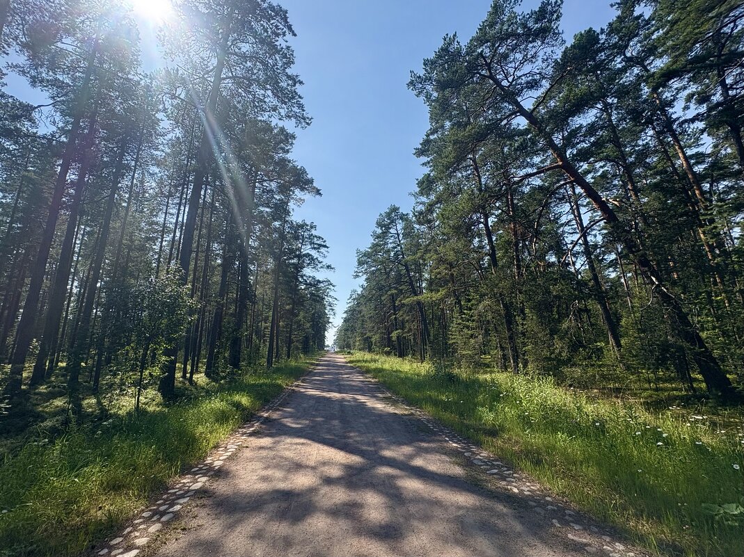 По дороге на Святую Гору...Остров "Коневец" - Наталия Павлова
