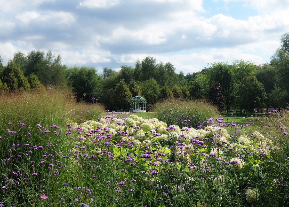 Прозрачный воздух августа душевного. - Люба 