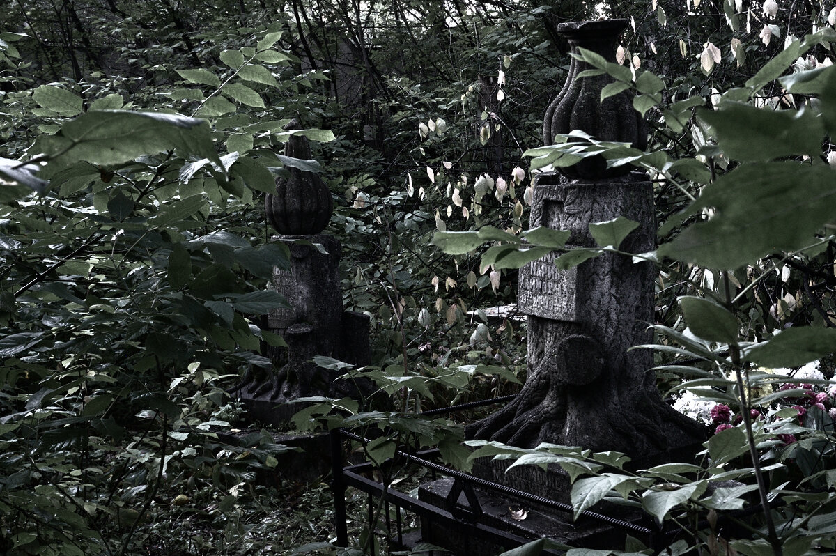 *** - Сергей Сергеев