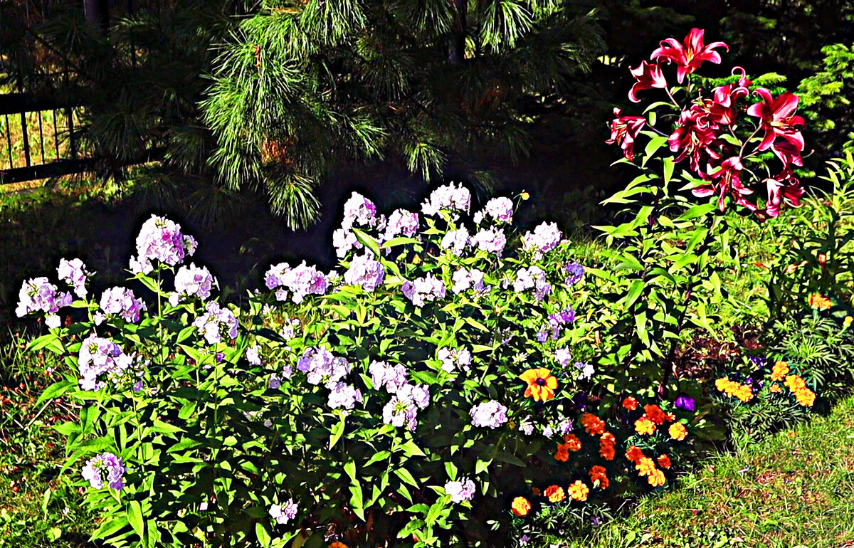 Август....Уголок цветника Храма Всех Святых! - Владимир Август....Уголок цветника Храма Всех Святых! - Владимир