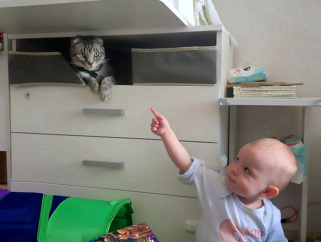 Немая сцена. - Ольга Довженко Немая сцена. - Ольга Довженко