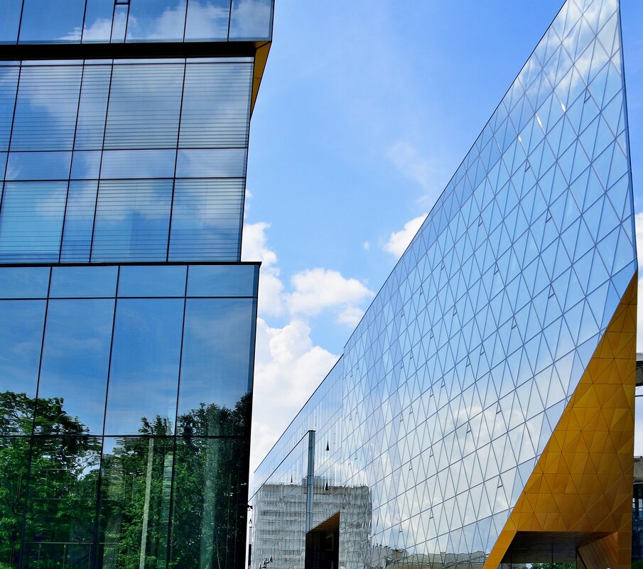 - - Владимир Мигонькин