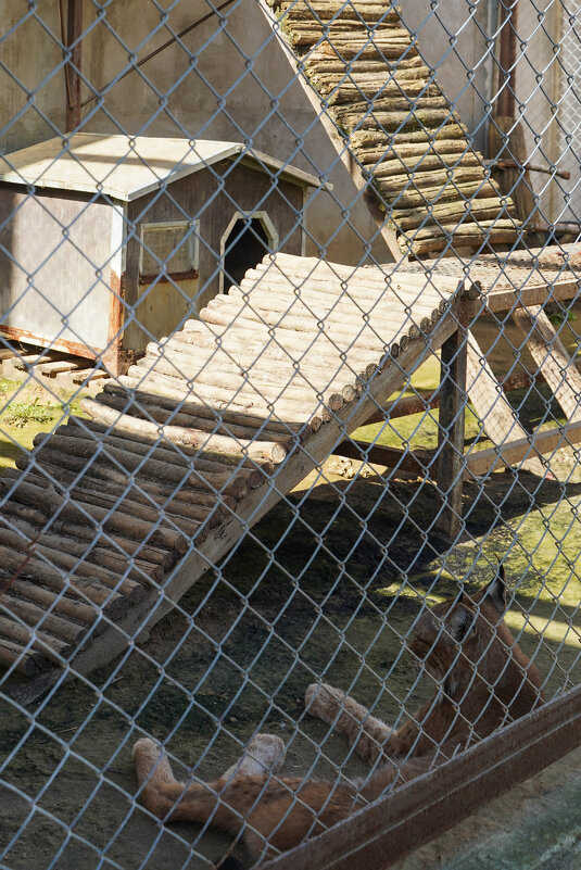 РЫСИ_ВСЕ_НАДОЕЛО - Сергей Янович Микк