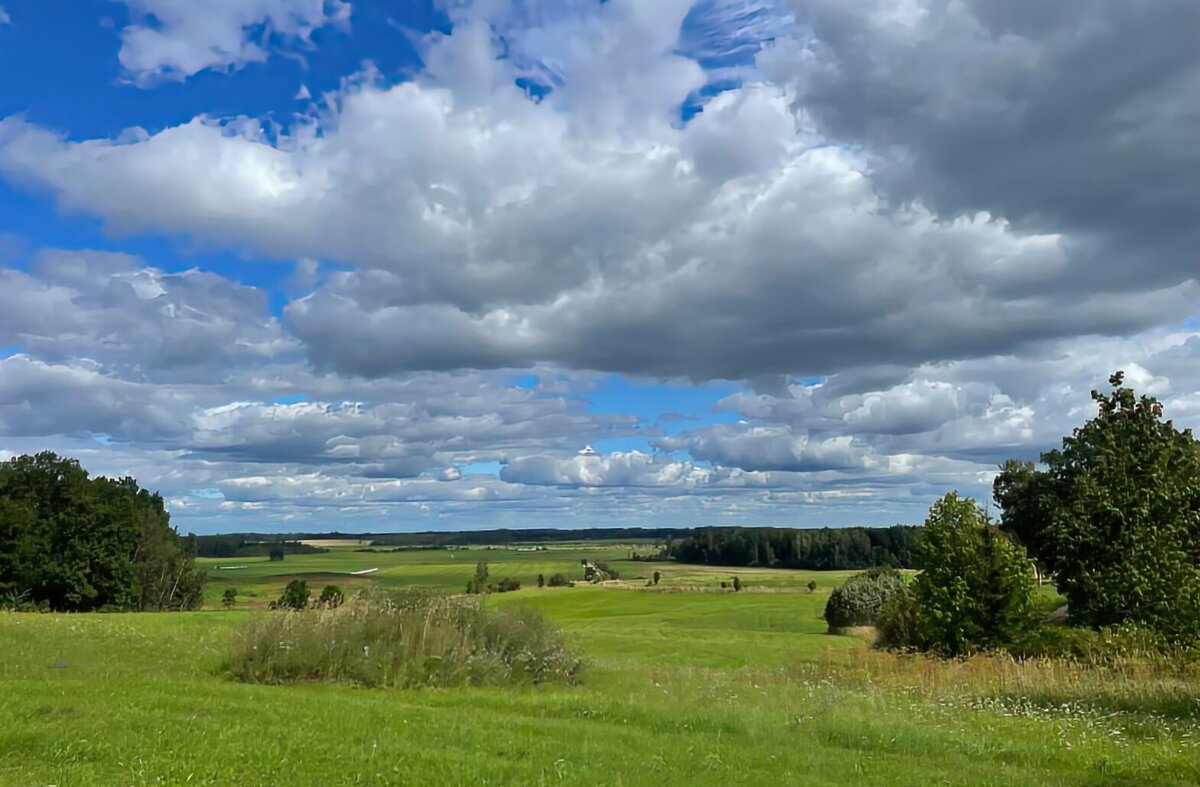 Summer 2025 8 - Arturs Ancans