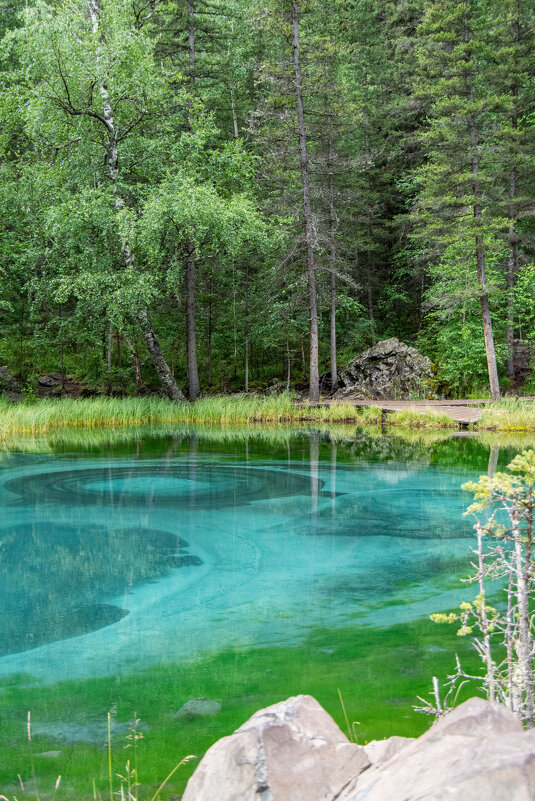 *** - Николай Чекалин