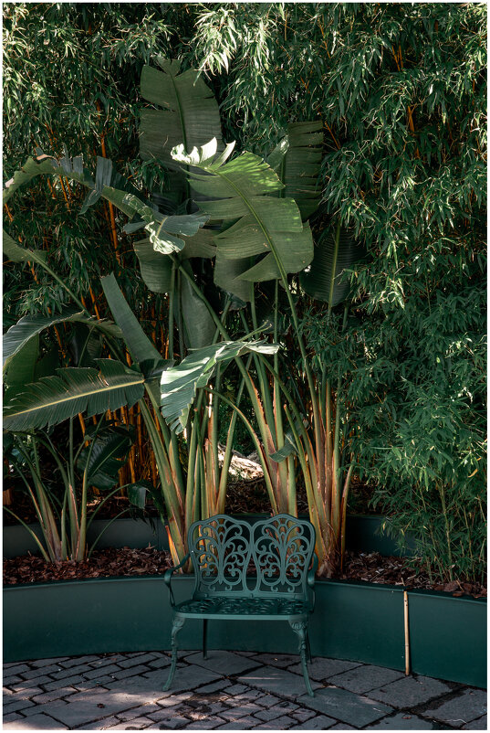 *** - someone somewere