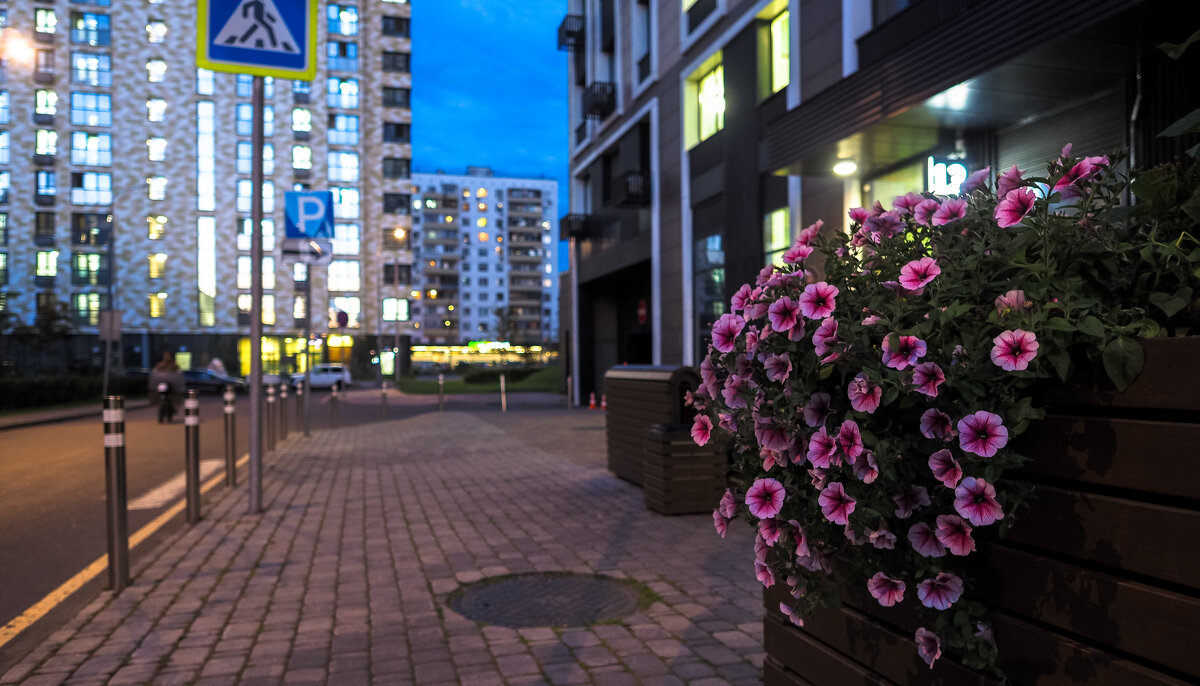 Природа в Городе - юрий поляков Природа в Городе - юрий поляков