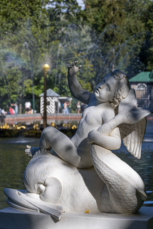 Амур на дельфине - vladimir Б