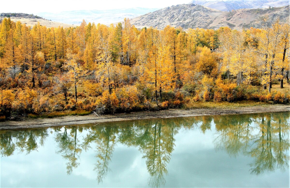 ОСЕННИЙ АЛТАЙ, КАТУНЬ - Елена Даньшина