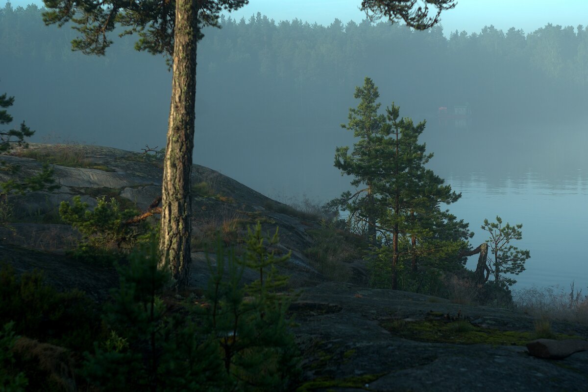 Туманное утро - Kventin Natabos 