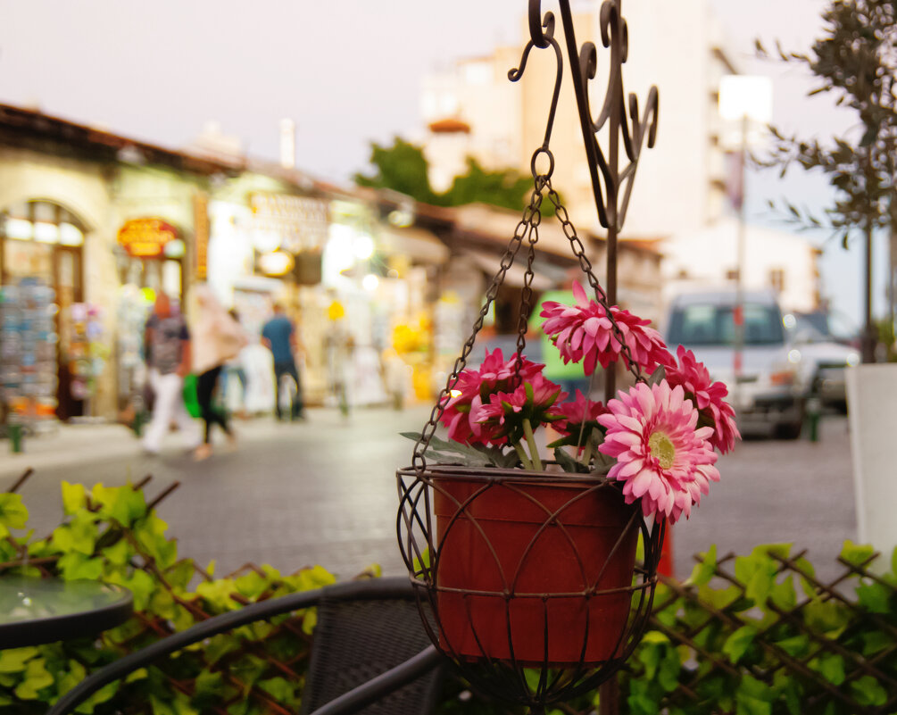 Кипр. Ларнака - Андрей Кипр. Ларнака - Андрей