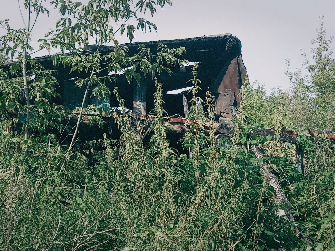 Катастрофа прошлого. - Игорь Солдаткин