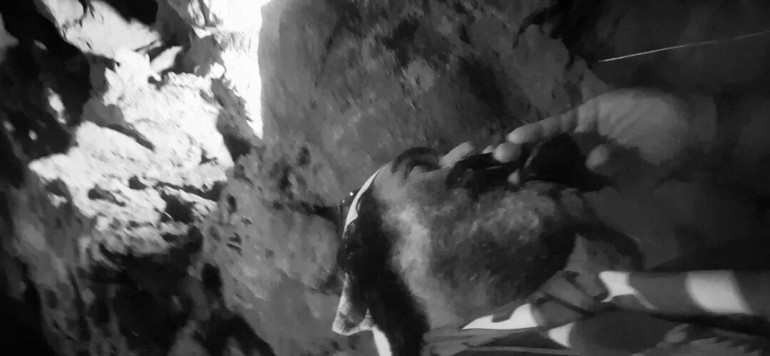 ЛЕ БО 5 (108) - CLOSE WAYS ALL