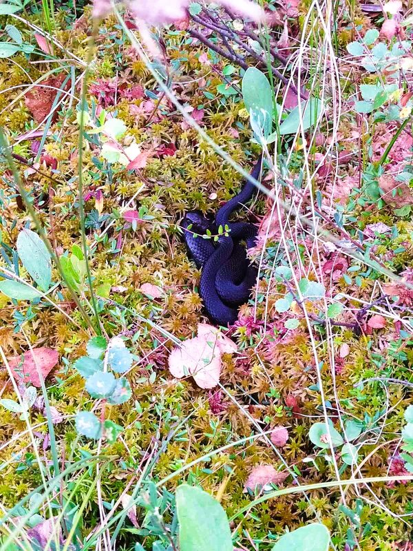 Красотка! - Хватова Марина 