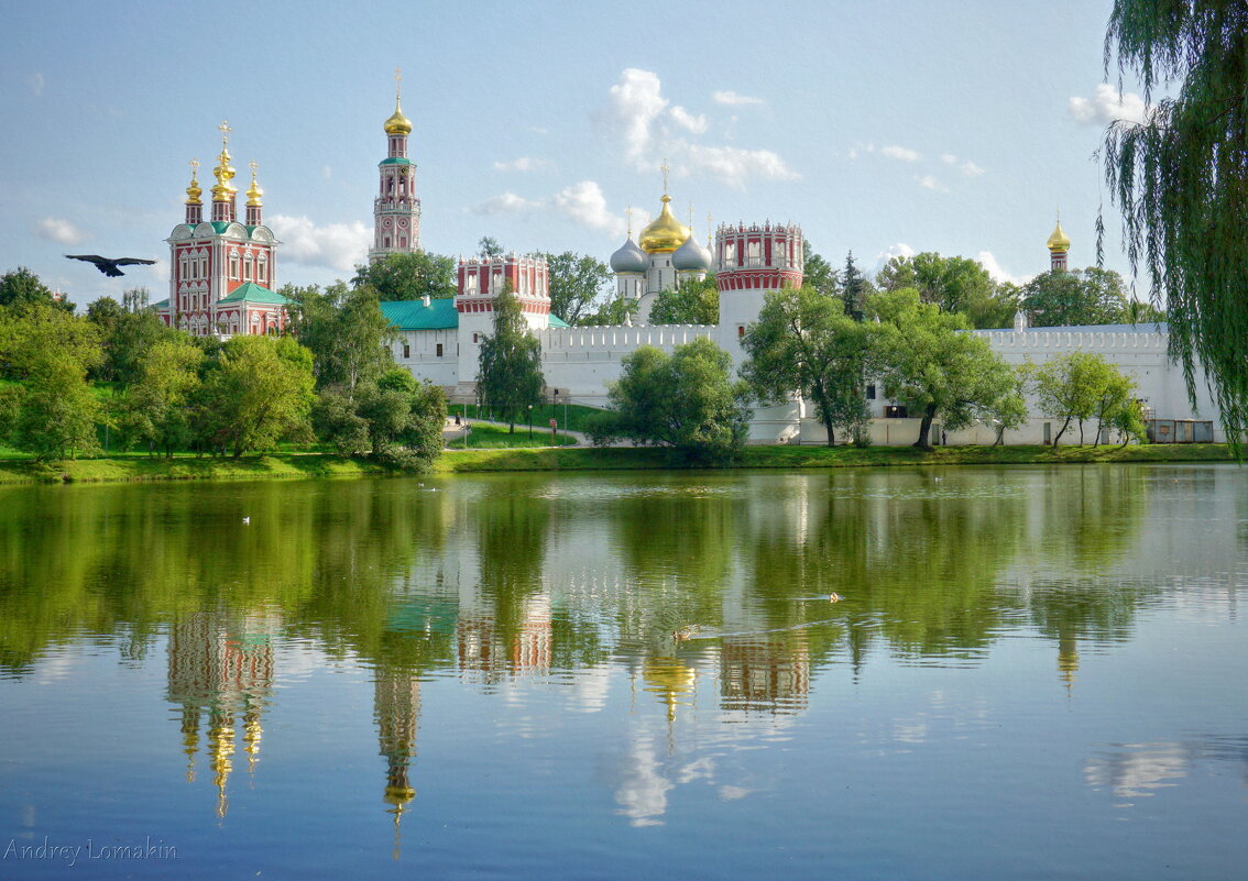 Новодевичий монастырь - Andrey Lomakin