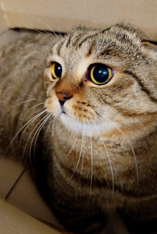 В процессе игры - светлана льдокова В процессе игры - светлана льдокова