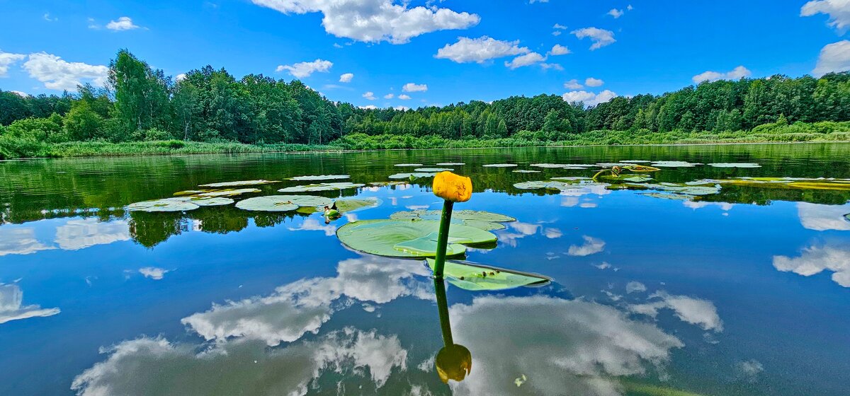 Река Солоница - Михаил Свиденцов