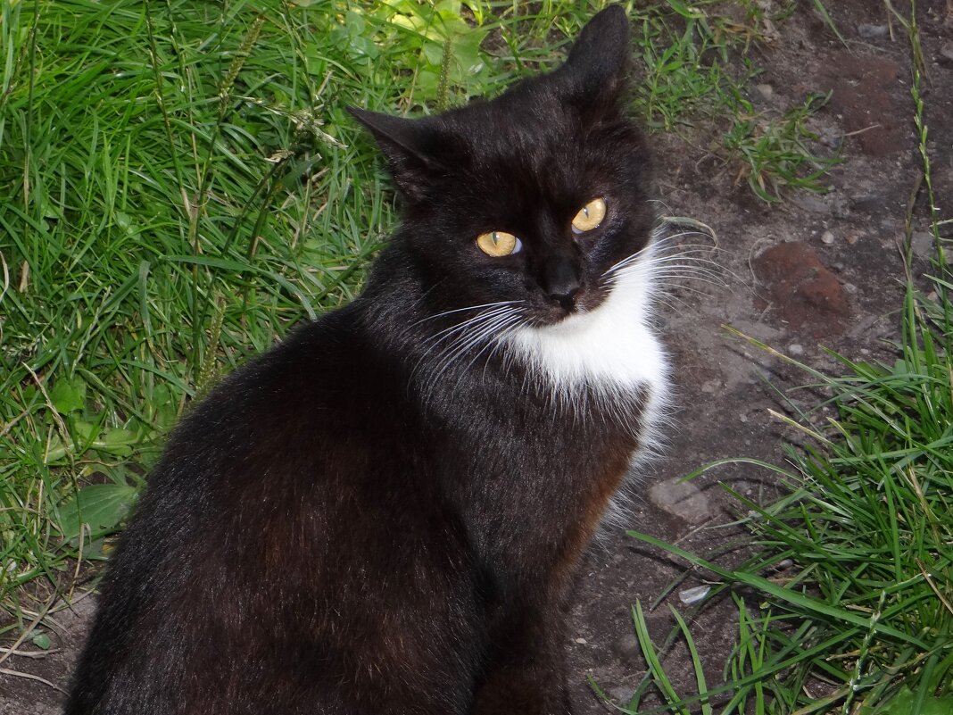 Кузьмич - Антонина Гугаева