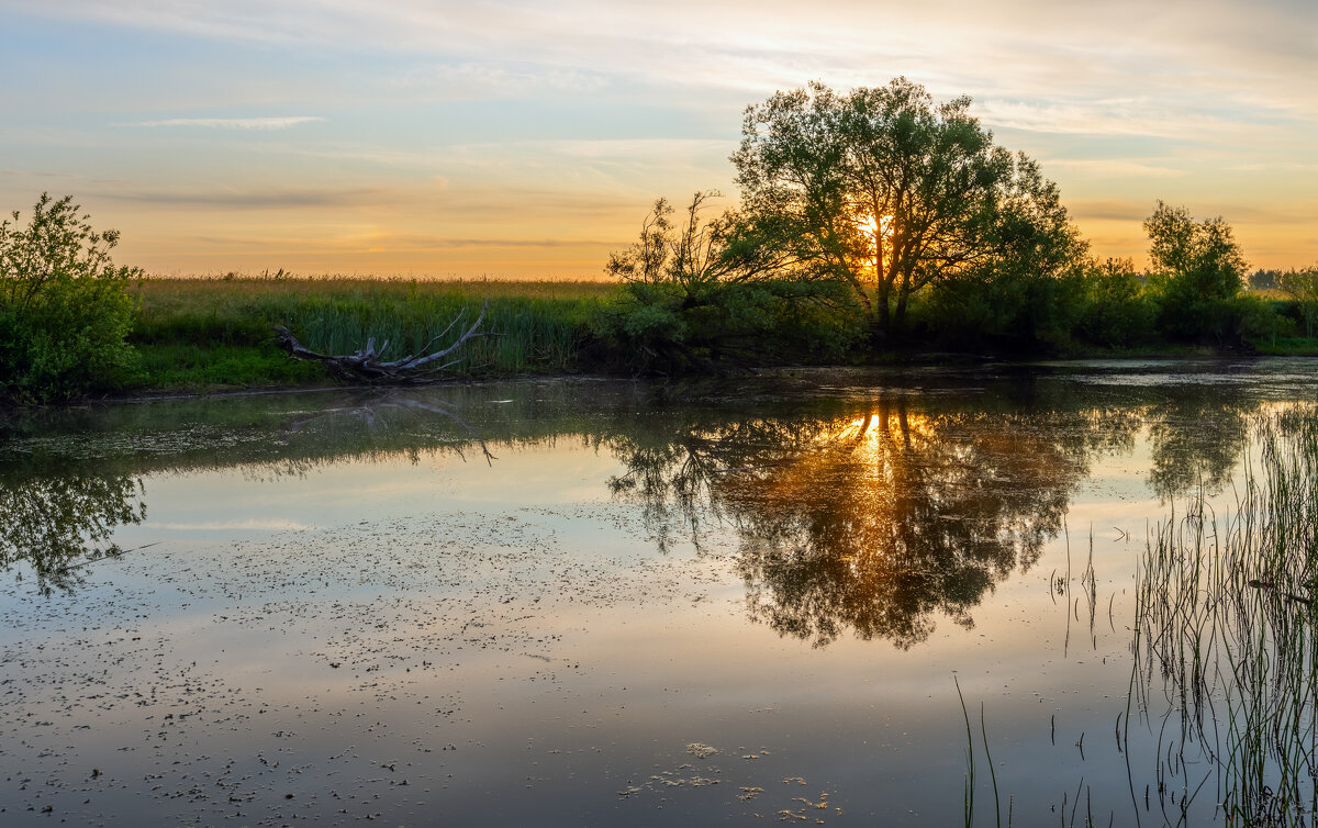 *** - Виталий Емельянов