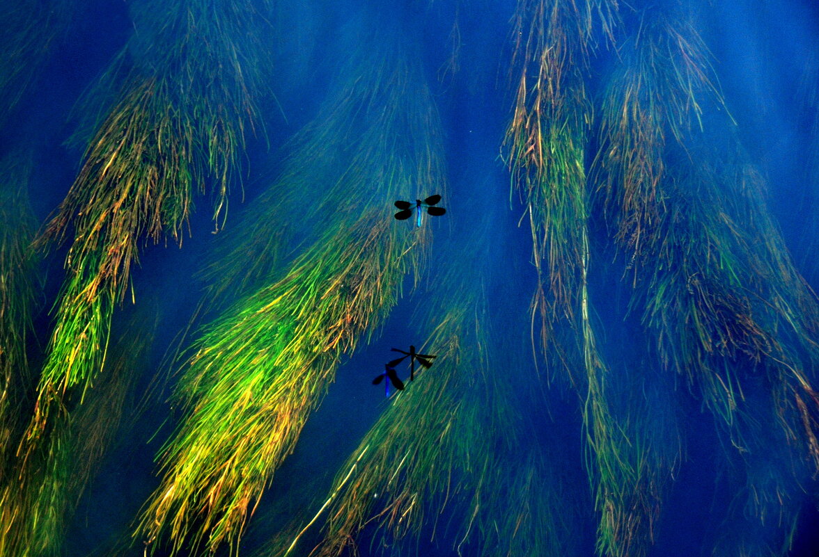 ТИХИЙ ОМУТ - Юрий Вовк ТИХИЙ ОМУТ - Юрий Вовк