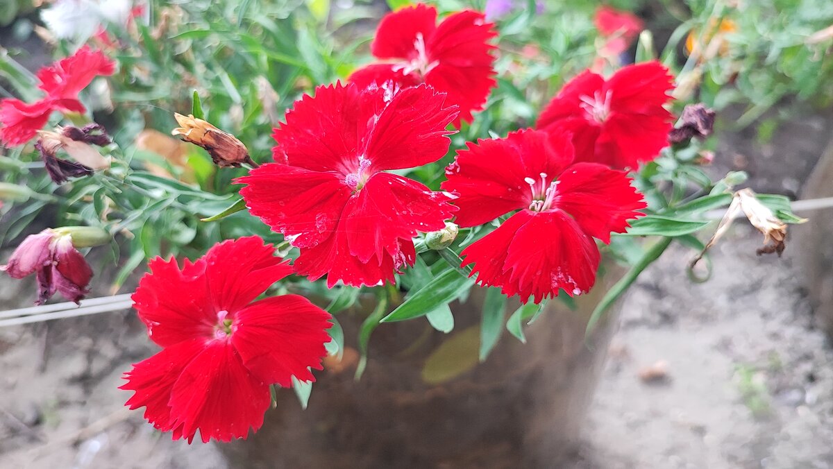 ,,,, - Сергей Тимоновский