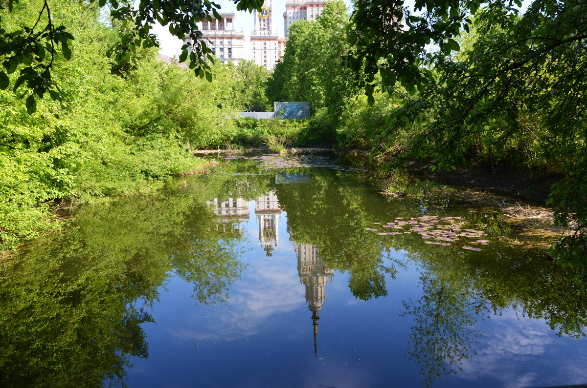 Весна в Ботаническом... Май. - Наташа *****