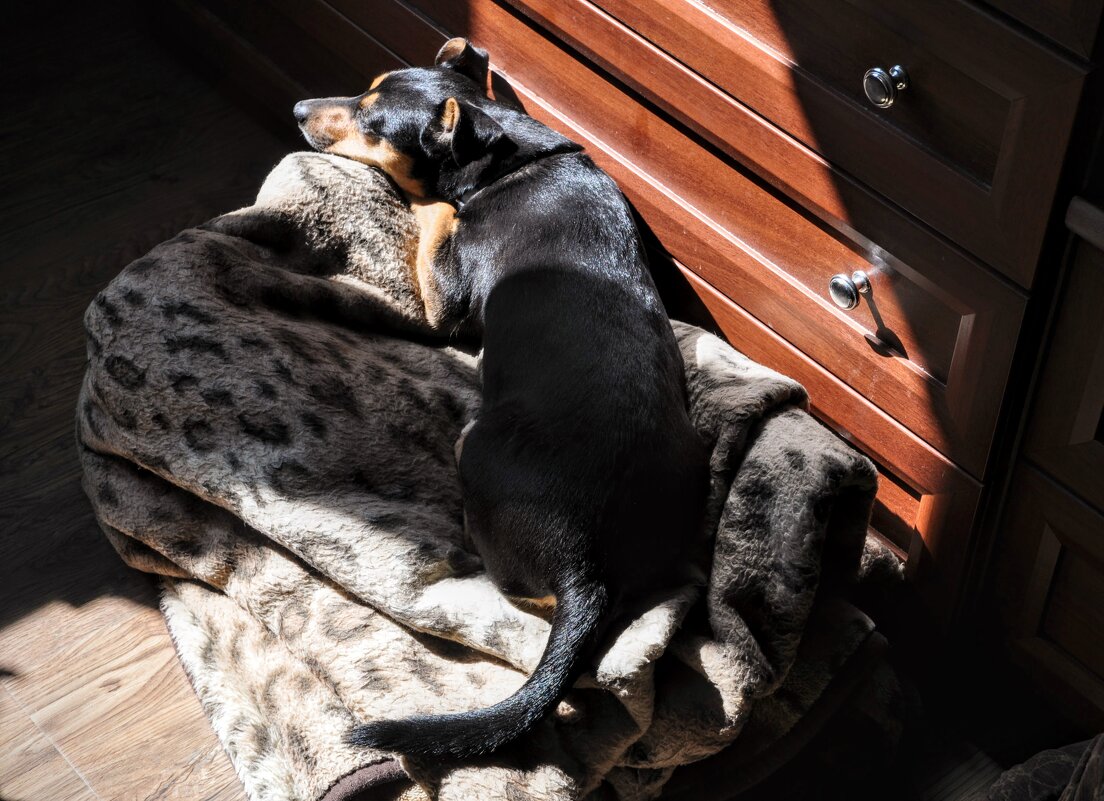 Была весна и солнце светило по-особому,,,) - Анатолий Колосов