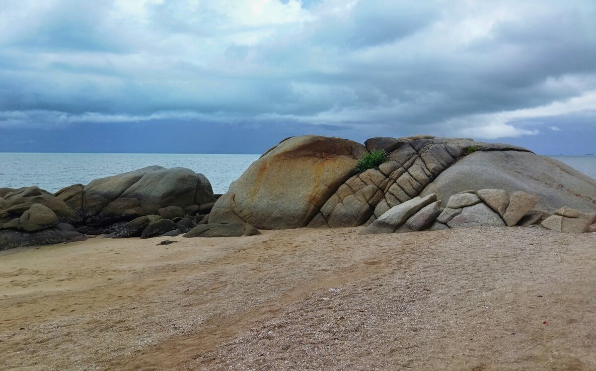 *** - Марина Виноградова