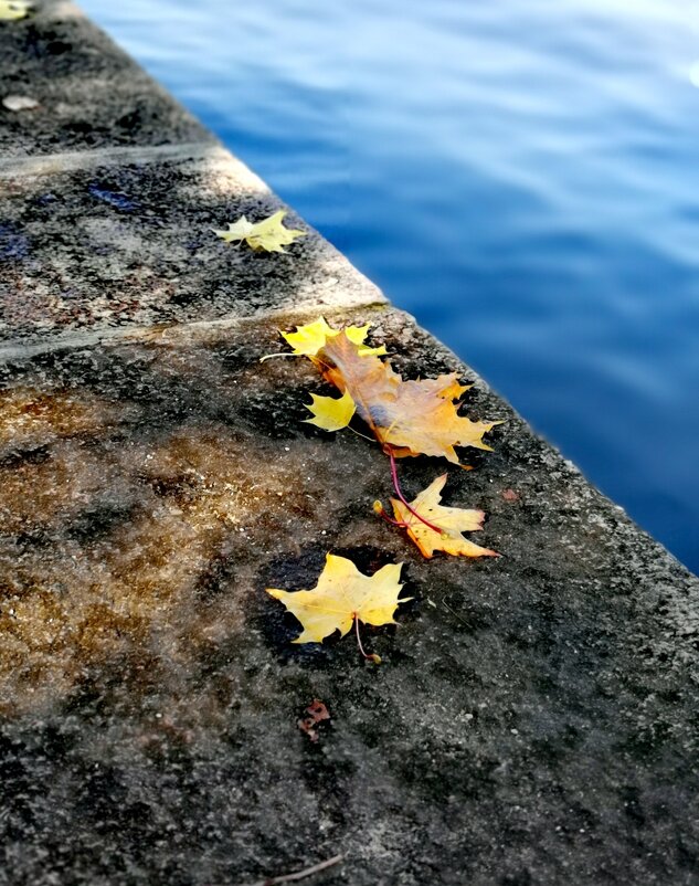 Осень. - Любимова Ольга 