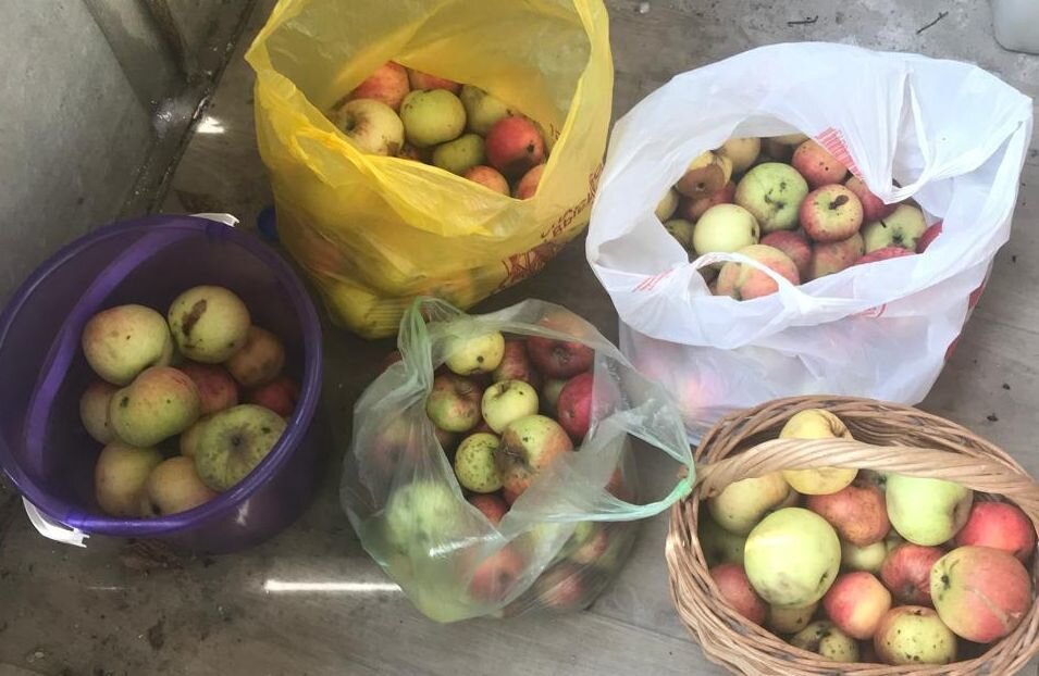 С ЯБЛОЧНЫМ СПАСОМ! МИРА, ДОБРА,ЗДОРОВЬЯ! - Елена Семигина